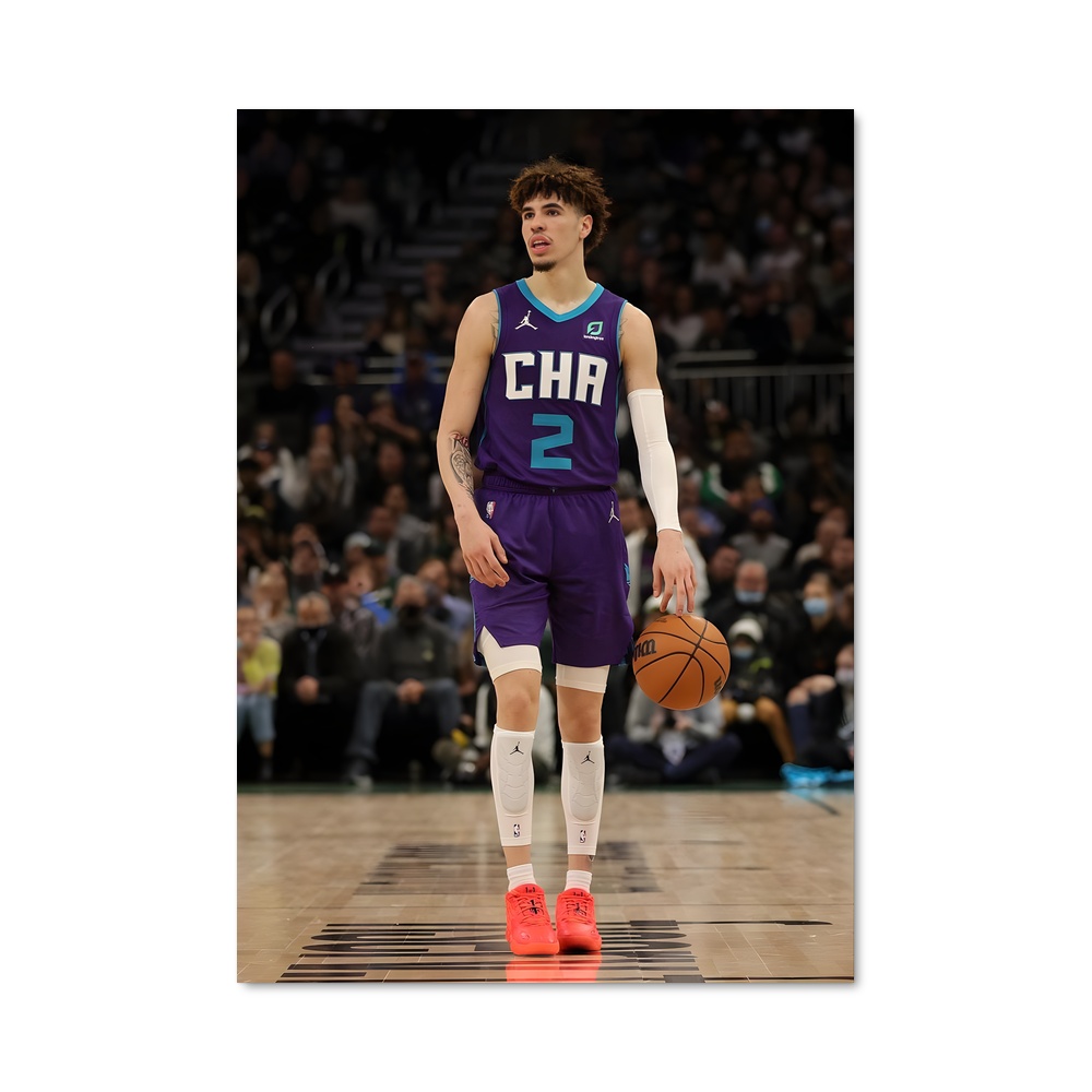 Poster Hornets en Action